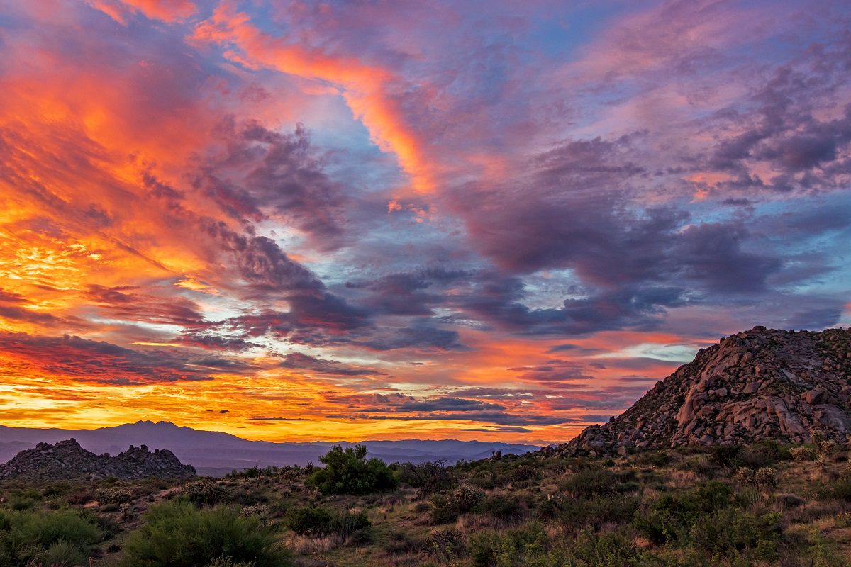 2022 National Postal Forum in Phoenix Mailing